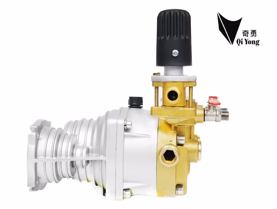 25 круглых хромированных плунжеров, двигатель насоса-распылителя, бензиновый двигатель 168/170